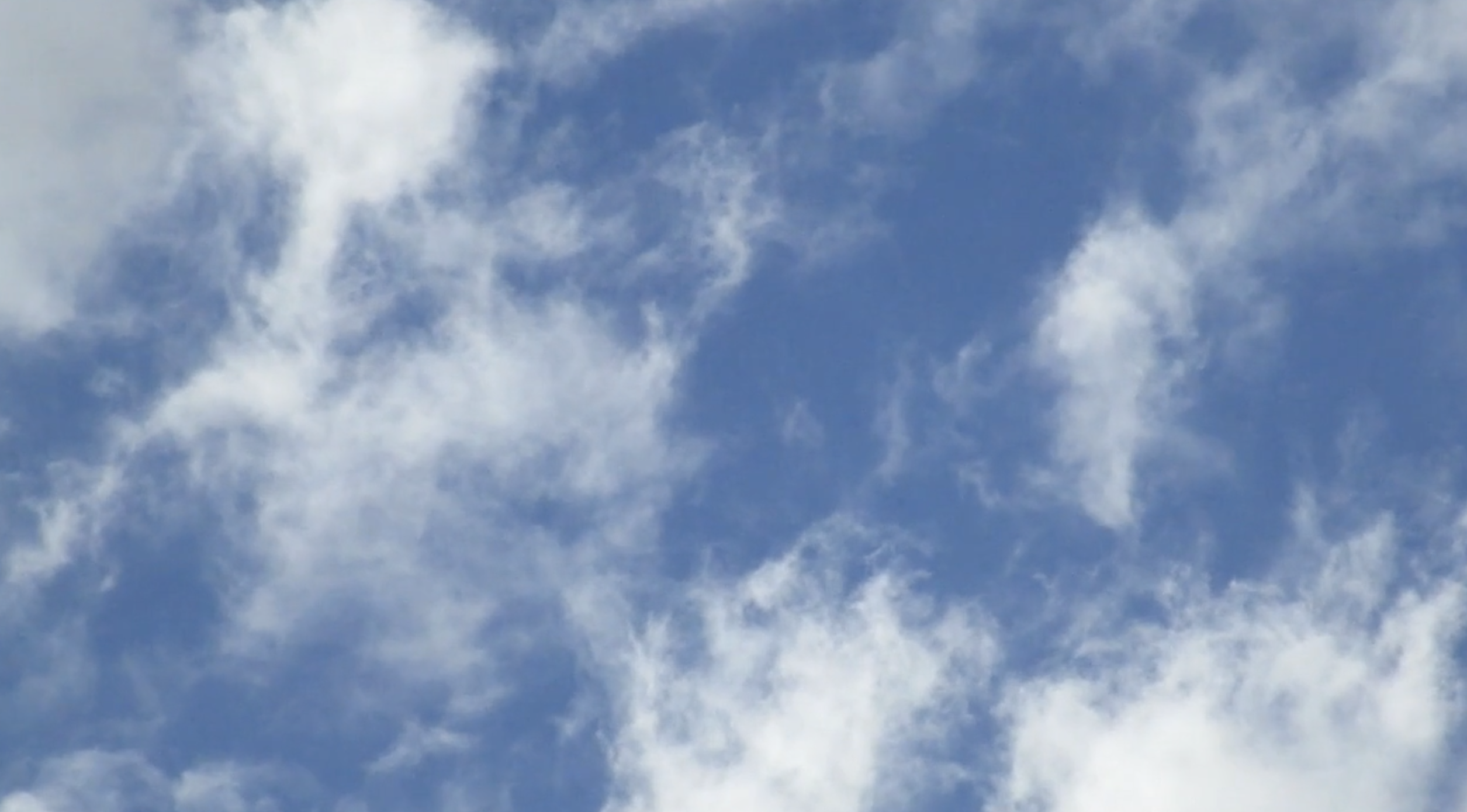 farmer's funeral home silsbee texas monicariobroches